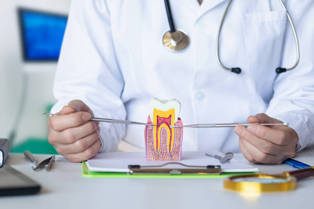 Best Weekend Emergency Dentist in Leslie, MI